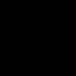 Meet your Posher, Bella